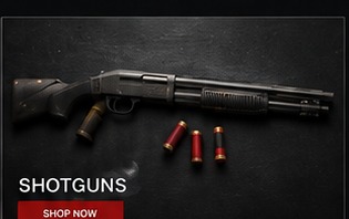 Shotguns